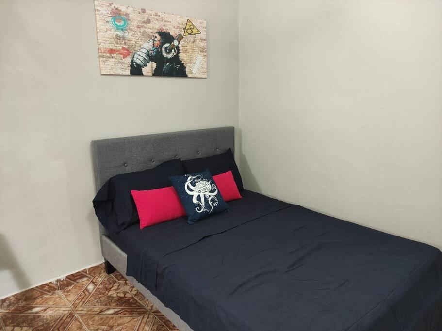 Apartament Acogedor Apartamento Completo En Boquete #1. Pet Friendly Zewnętrze zdjęcie
